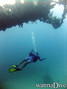 scuba diving photo