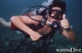 scuba diving photo