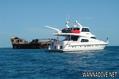 scuba diving photo