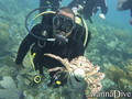 scuba diving photo