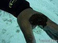 scuba diving photo