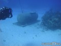 scuba diving photo
