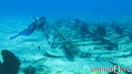 scuba diving photo