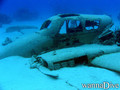 scuba diving photo