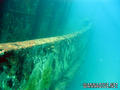 scuba diving photo