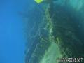 scuba diving photo