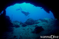 scuba diving photo