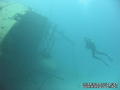 scuba diving photo