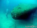 scuba diving photo