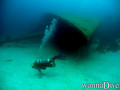 scuba diving photo