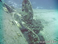 scuba diving photo