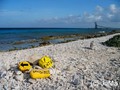 scuba diving photo