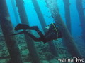 scuba diving photo