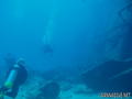 scuba diving photo