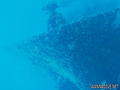 scuba diving photo