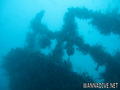 scuba diving photo