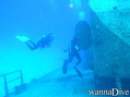 scuba diving photo