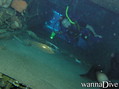 scuba diving photo