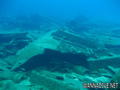 scuba diving photo