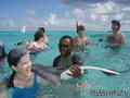 scuba diving photo