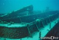 scuba diving photo