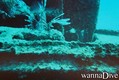 scuba diving photo