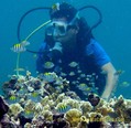 scuba diving photo