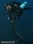 scuba diving photo