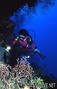 scuba diving photo
