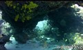 scuba diving photo