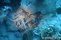 scuba diving photo