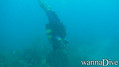 scuba diving photo