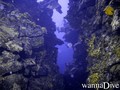scuba diving photo