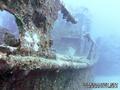 scuba diving photo