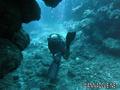 scuba diving photo