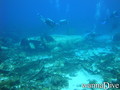 scuba diving photo