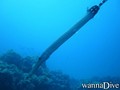 scuba diving photo