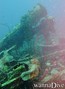 scuba diving photo