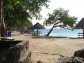 scuba diving photo