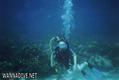 scuba diving photo