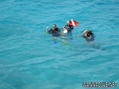 scuba diving photo