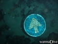 scuba diving photo