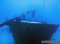 scuba diving photo