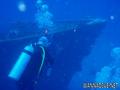 scuba diving photo