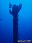 scuba diving photo