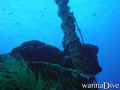 scuba diving photo