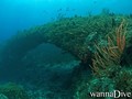 scuba diving photo