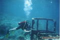 scuba diving photo