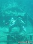 scuba diving photo