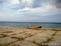 scuba diving photo